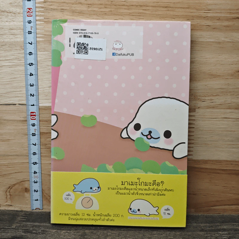 บันทึกของฉันกับมาเมะโกมะ เล่ม 1 - มายูมิ โยเนะมูระ รูปที่ 5