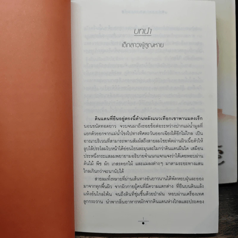 จันทราอุษาคเนย์ 2 เล่มจบ - วรรณวรรธน์ รูปที่ 7