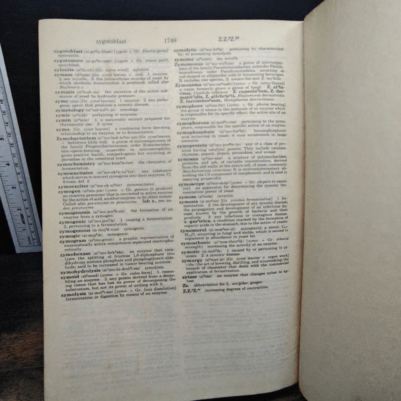 Dorland's Illustrated Medical Dictionary รูปที่ 12