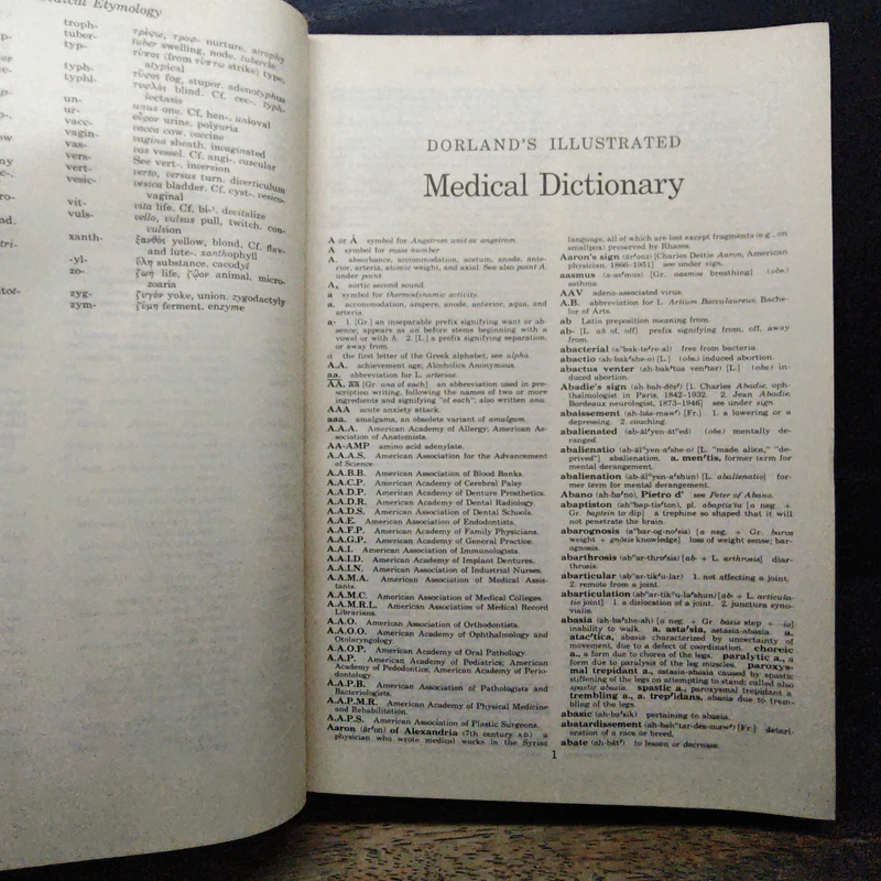 Dorland's Illustrated Medical Dictionary รูปที่ 11