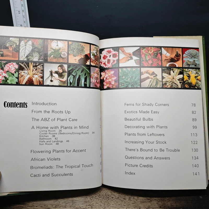 Huxley's House of Plants - Alyson รูปที่ 7