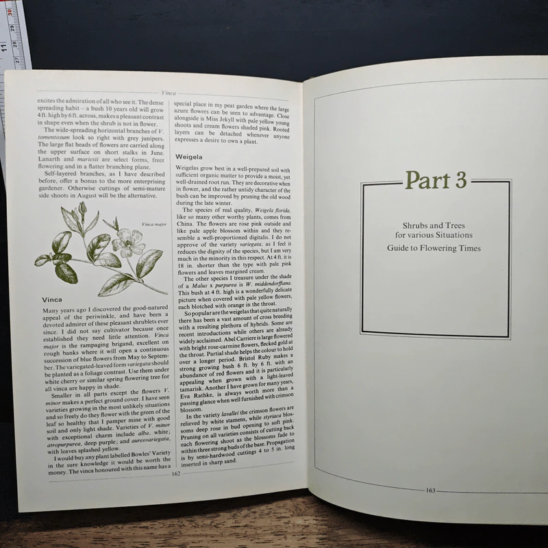 Shrubs & Small Trees - Geoffrey Smith รูปที่ 10