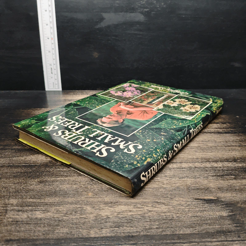 Shrubs & Small Trees - Geoffrey Smith รูปที่ 5