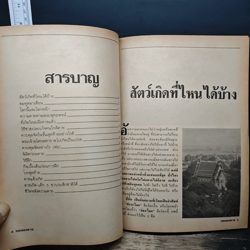 ทดลองตาย รูปที่ 7