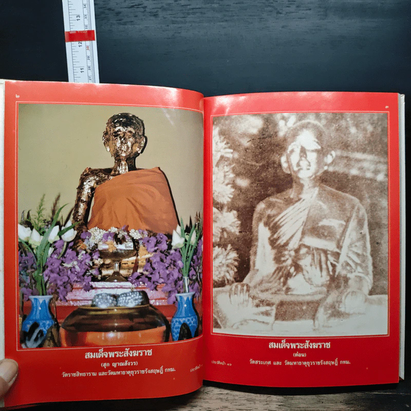 รวมภาพชุดและประวัติย่อ 80 พระกรรมฐาน รูปที่ 10