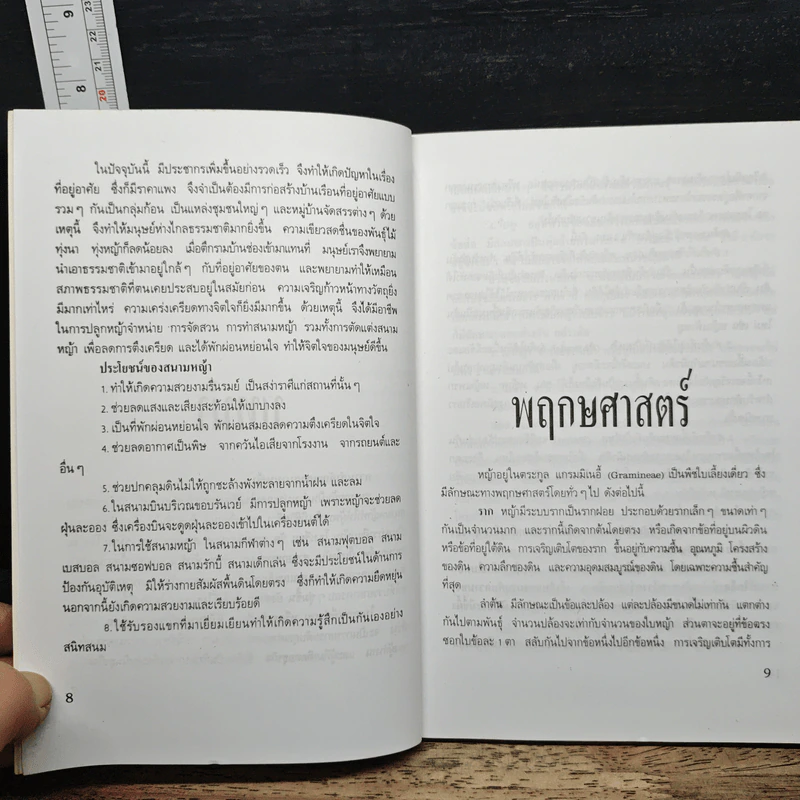 สนามหญ้า - เอกชัย พฤกษ์อำไพ, สำเริง คำทอง รูปที่ 8