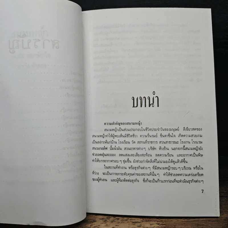สนามหญ้า - เอกชัย พฤกษ์อำไพ, สำเริง คำทอง รูปที่ 7