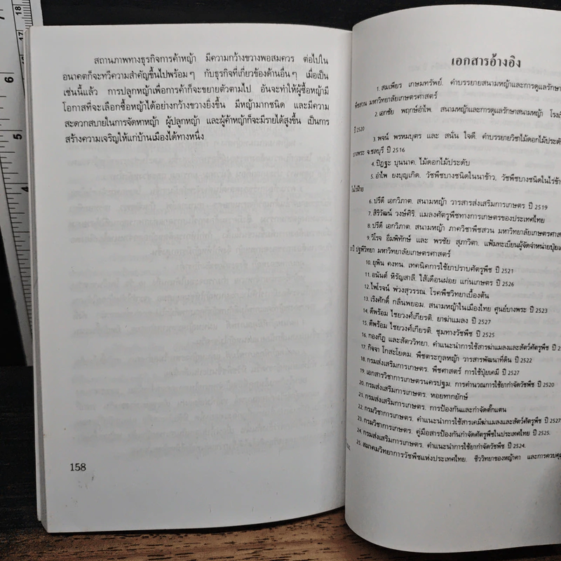 สนามหญ้า - เอกชัย พฤกษ์อำไพ, สำเริง คำทอง รูปที่ 9
