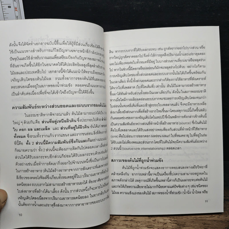 อุทกภัย ผลกระทบต่อสวนไม้ผลและแนวทางการแก้ไข รูปที่ 7