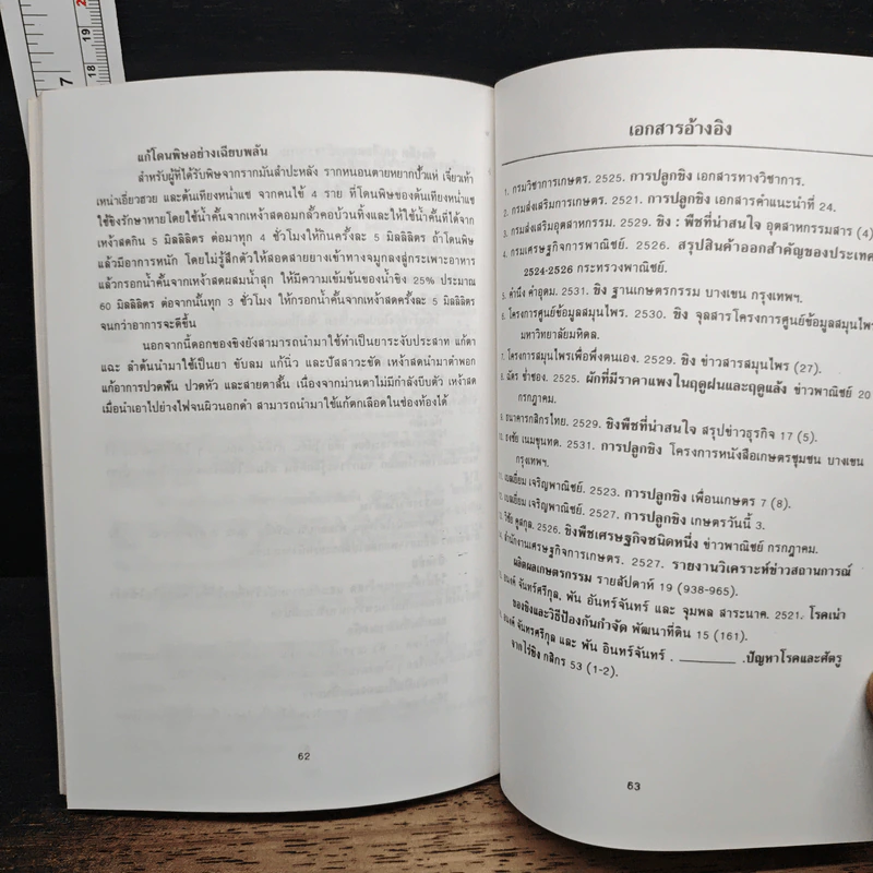 การปลูกขิง - คำนึง คำอุดม รูปที่ 9