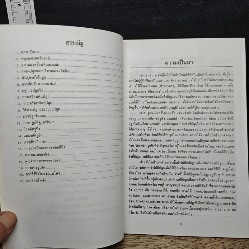 การปลูกขิง - คำนึง คำอุดม รูปที่ 7