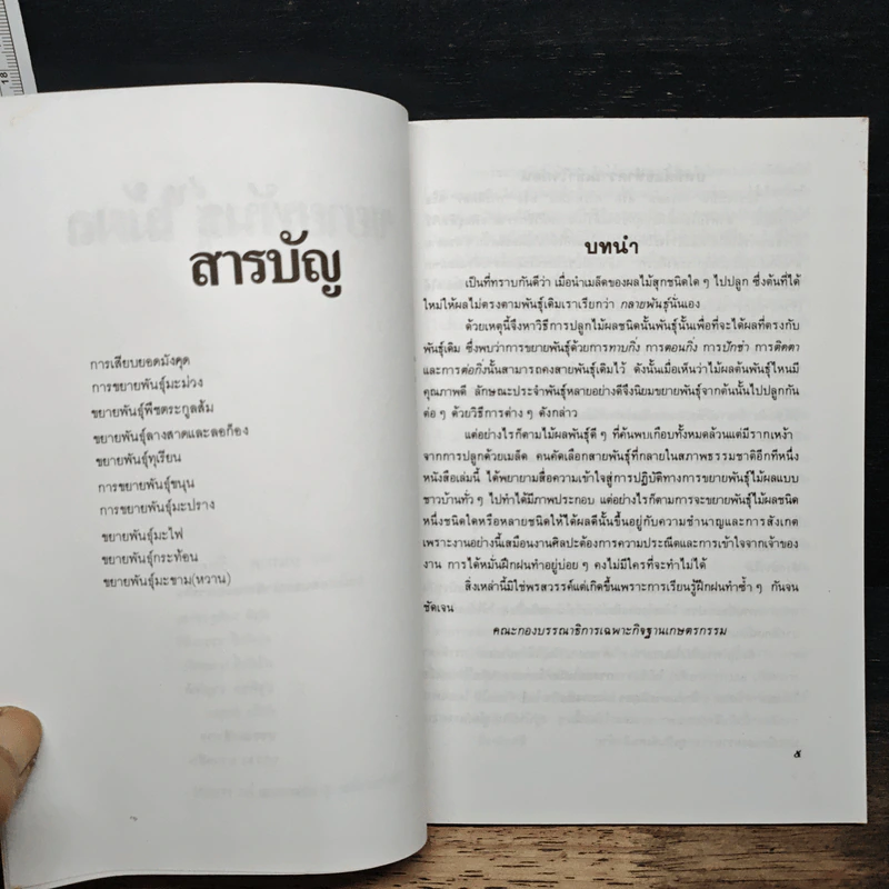 การขยายพันธุ์ไม้ผล รูปที่ 6