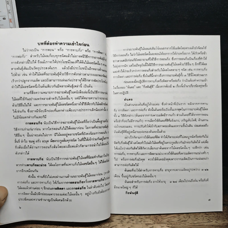 การขยายพันธุ์ไม้ผล รูปที่ 7