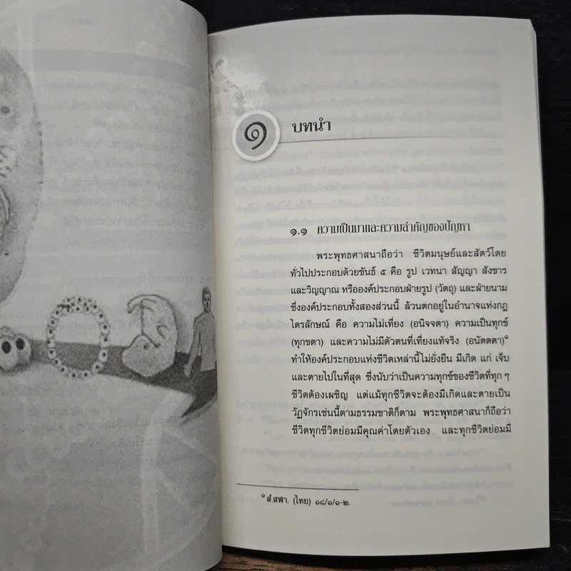 การศึกษาวิเคราะห์ปาณาติปาตาในเซลล์มนุษย์และตัวอ่อนมนุษย์ - นายแพทย์ปุณวัสส์ กิตติมานนท์ รูปที่ 10