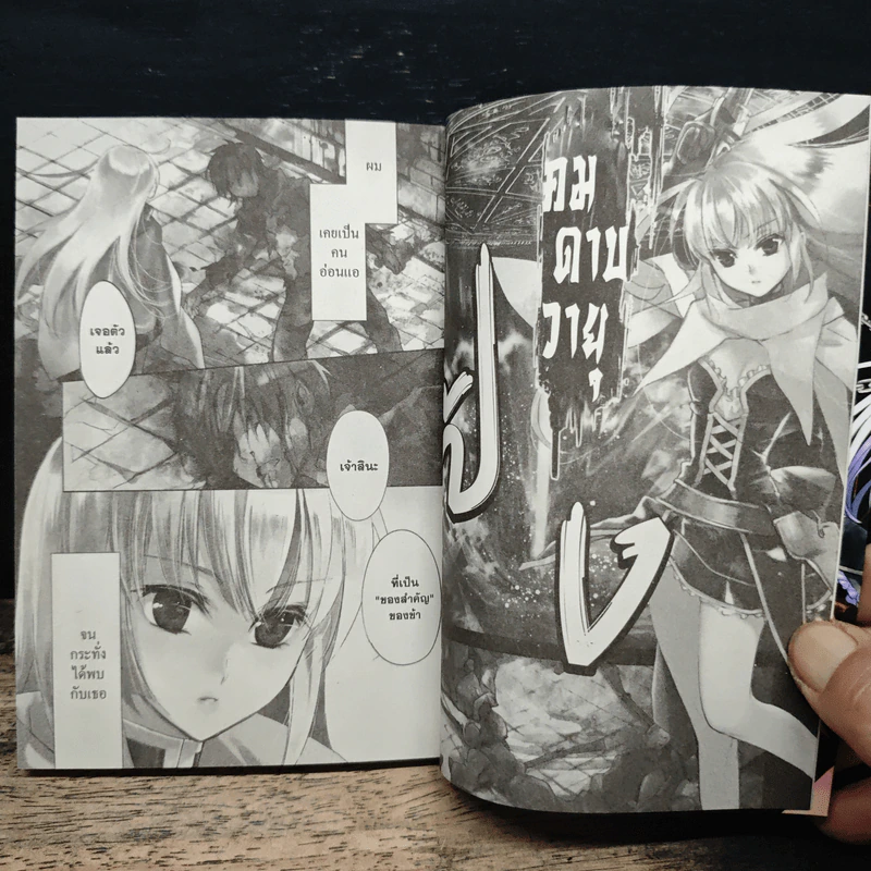 เจ้าหญิงปืนเวท เล่ม 1 รูปที่ 8