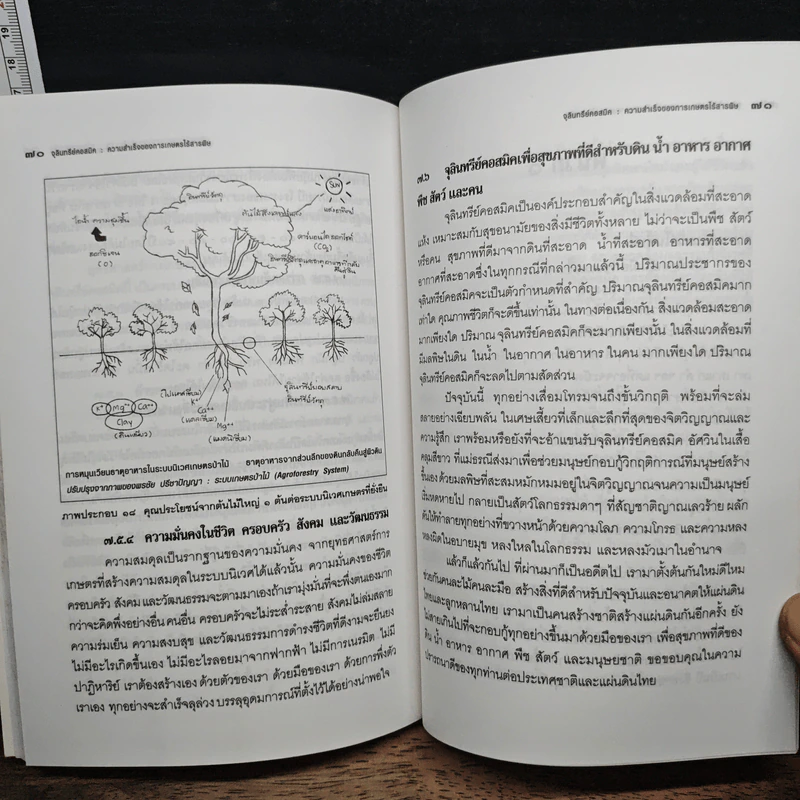 จุลินทรีย์คอสมิค ความสำเร็จของการเกษตรไร้สารพิษ - ภรณ์ ภูมิพันนา รูปที่ 9