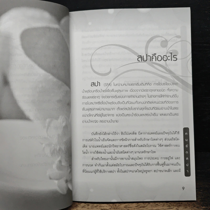 ธรรมชาติบำบัด ขจัดพิษ พิชิตริ้วรอย คนรักสปา รูปที่ 8