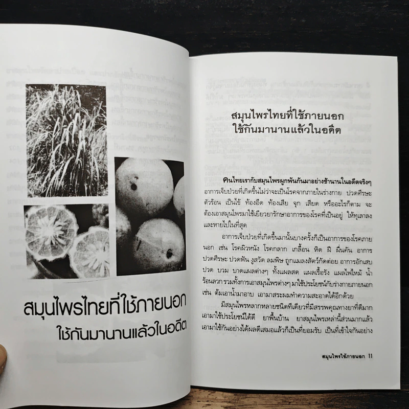 สมุนไพรใช้ภายนอก - ภาณุทรรศน์ รูปที่ 9