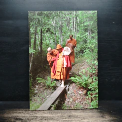 คู่มือการปฏิบัติ วิปัสสนากรรมฐานในแนวสติปัฏฐาน 4 รูปที่ 2