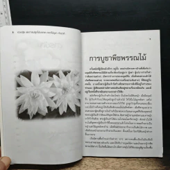 ไม้มงคล ดอกไม้บูชา กับราศี - อังคาร ปัญญาศิลป์ รูปที่ 7