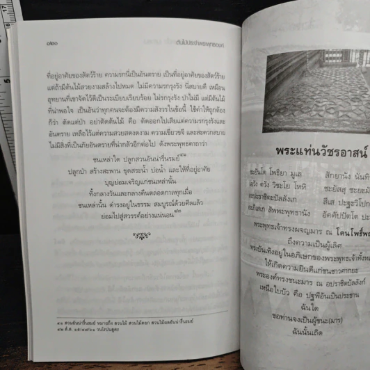 ต้นไม้ประจำพระพุทธองค์ - พระมหา ดร.ประมวล ฐานทัตโต รูปที่ 10