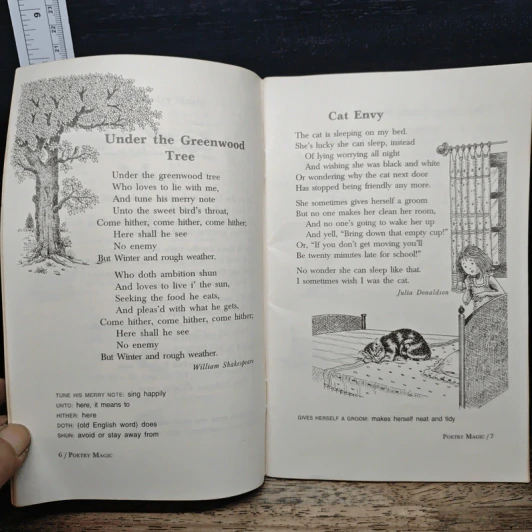 Poetry Magic Book 6 - Keki N. Daruwalla รูปที่ 8