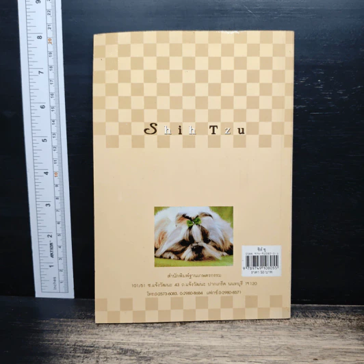 ชิห์ ซุ Shih Tzu - ผา สกุลแก้ว รูปที่ 2