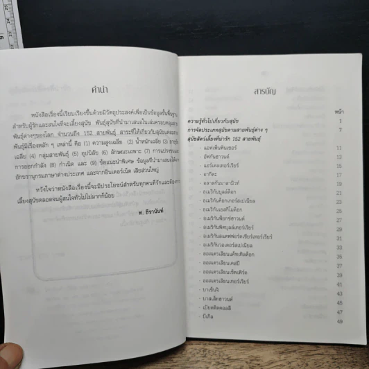 สุนัขสัตว์เลี้ยงที่น่ารัก - ท.ธีรานันท์ รูปที่ 7