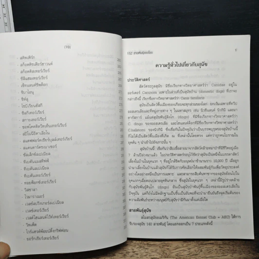 สุนัขสัตว์เลี้ยงที่น่ารัก - ท.ธีรานันท์ รูปที่ 10