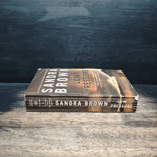 Low Pressure - Sandra Brown รูปที่ 3