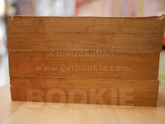 VDO เกิร์ล 3 เล่มจบ รูปที่ 3