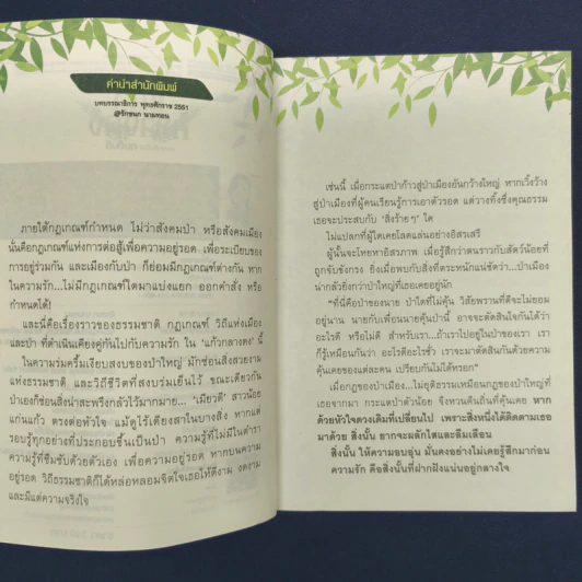 ✔️แก้วกลางดง - ทมยันตี รูปที่ 6