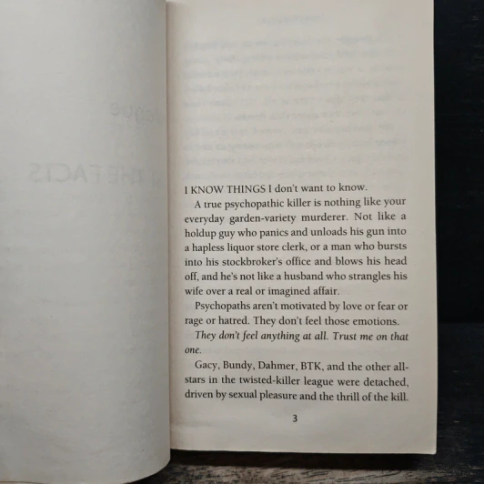 Swimsuit - James Patterson รูปที่ 7