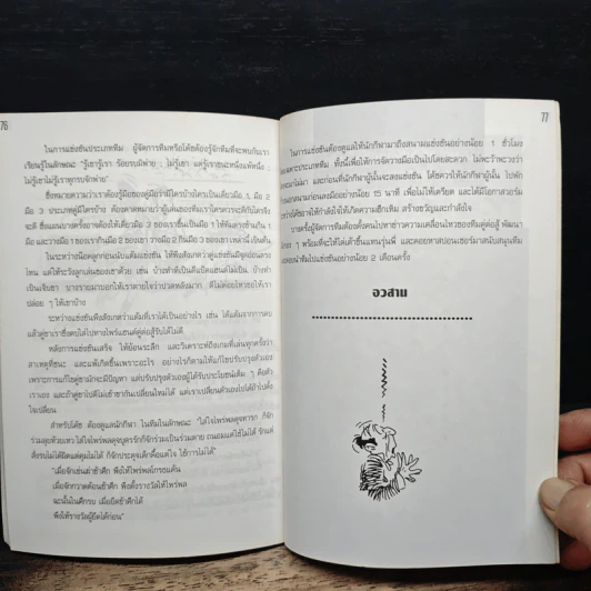 อัจฉริยะนายกำ - มานิต เมืองไพศาล รูปที่ 9