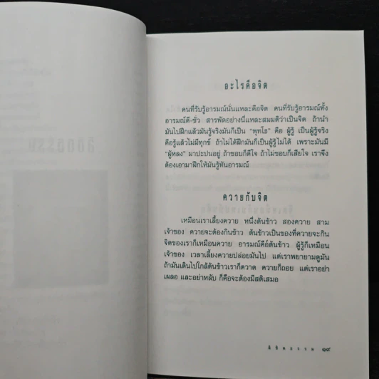 ลิขิตธรรม ปุจฉา-วิสัยชนาธรรมจากพระมหาเถระ รูปที่ 13