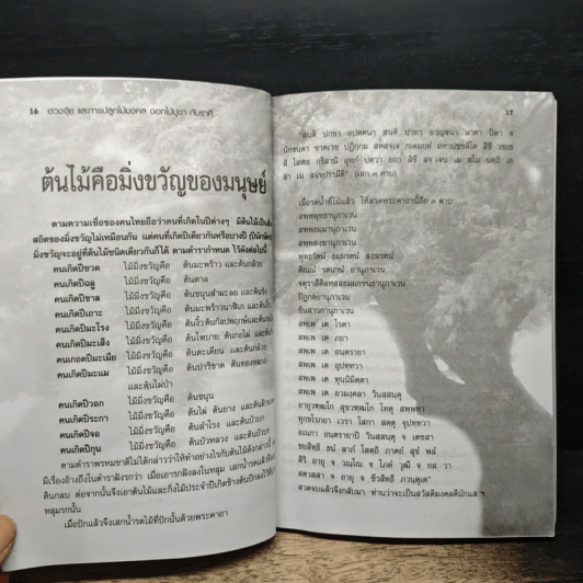 ไม้มงคล ดอกไม้บูชา กับราศี - อังคาร ปัญญาศิลป์ รูปที่ 8