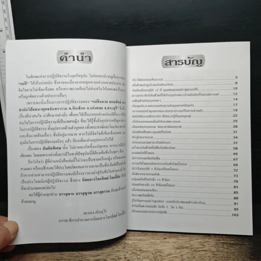บันทึกการปฏิบัติธรรมก่อนเห็นธรรม - แม่ชีฉลวย พรมพันธ์ รูปที่ 6