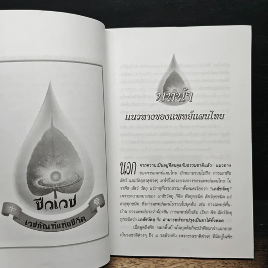 มหัศจรรย์แพทย์แผนไทย + ชีวเวทย์ รูปที่ 7