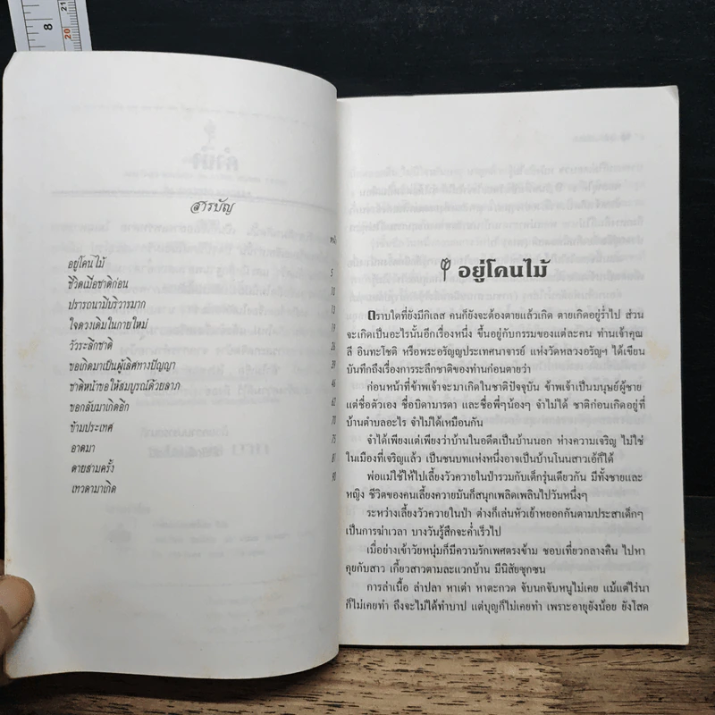 ขอกลับมาเกิดอีก - รุจน์ มัณฑิรา รูปที่ 7