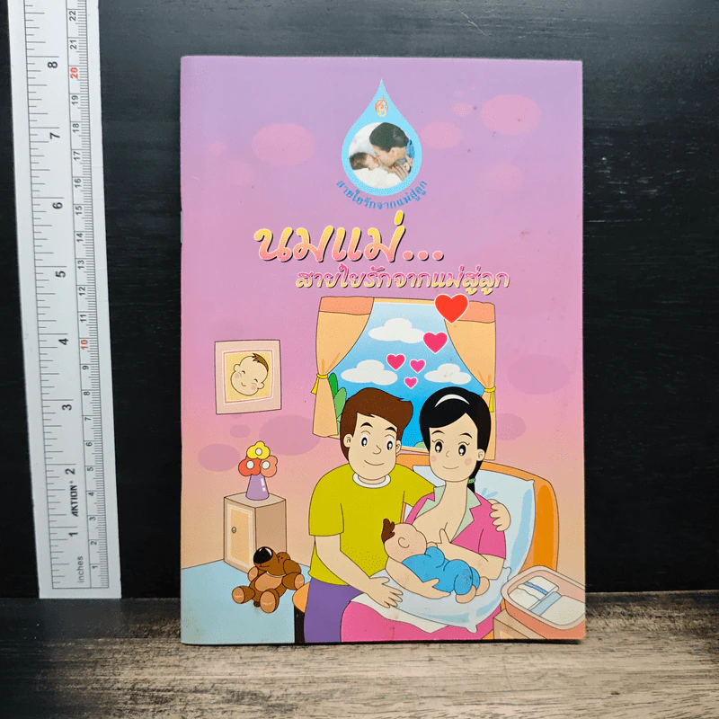 นมแม่... สายใยรักจากแม่สู่ลูก รูปที่ 1
