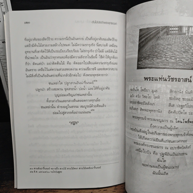 ต้นไม้ประจำพระพุทธองค์ - พระมหา ดร.ประมวล ฐานทัตโต รูปที่ 10