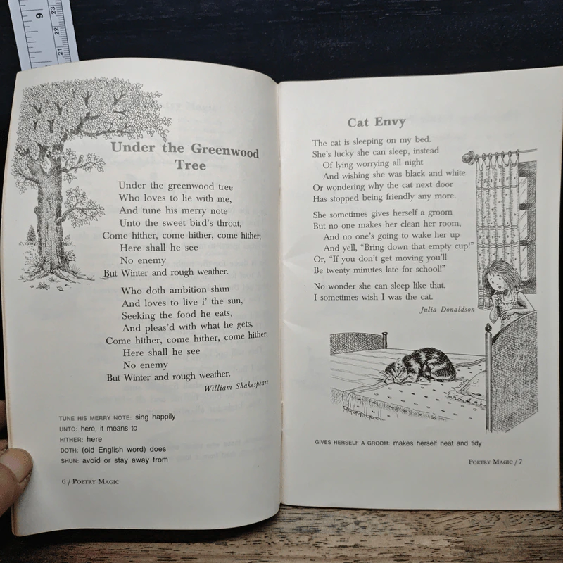 Poetry Magic Book 6 - Keki N. Daruwalla รูปที่ 8