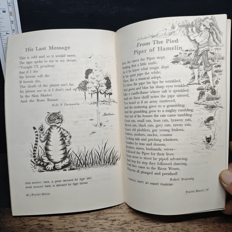 Poetry Magic Book 6 - Keki N. Daruwalla รูปที่ 9