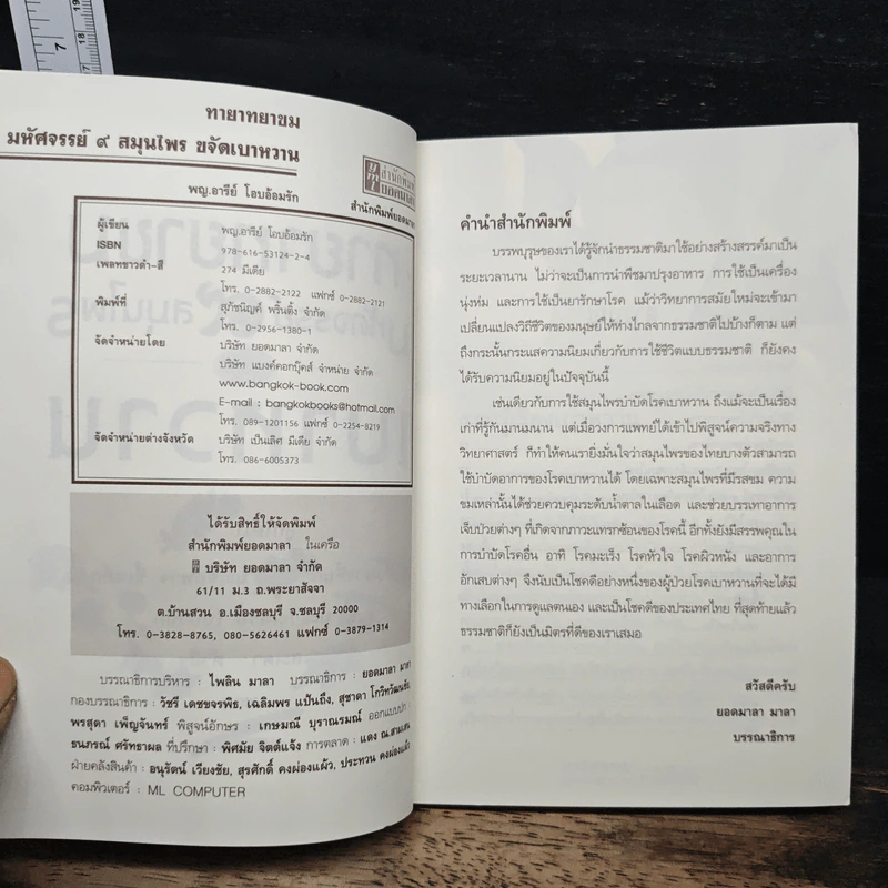 ทายาทยาขม มหัศจรรย์ 9 สมุนไพรขจัดเบาหวาน - พญ.อารีย์ โอบอ้อมรัก รูปที่ 6