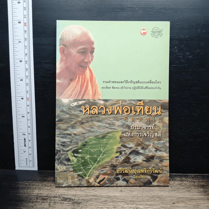 หลวงพ่อเทียน จิตตสุโภ ปรมาจารย์แห่งการเจริญสติ - ทวีวัฒน์ ปุณทริกวิวัฒน์ รูปที่ 1