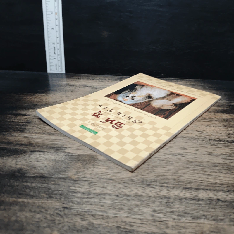 ชิห์ ซุ Shih Tzu - ผา สกุลแก้ว รูปที่ 5