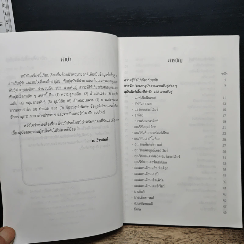 สุนัขสัตว์เลี้ยงที่น่ารัก - ท.ธีรานันท์ รูปที่ 7