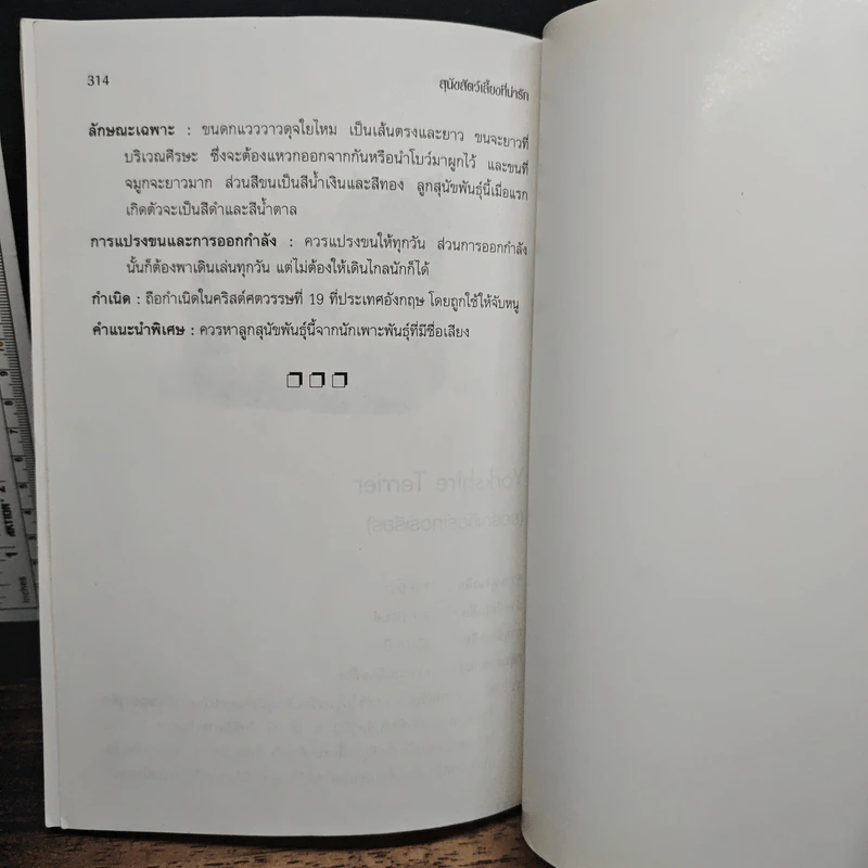 สุนัขสัตว์เลี้ยงที่น่ารัก - ท.ธีรานันท์ รูปที่ 11