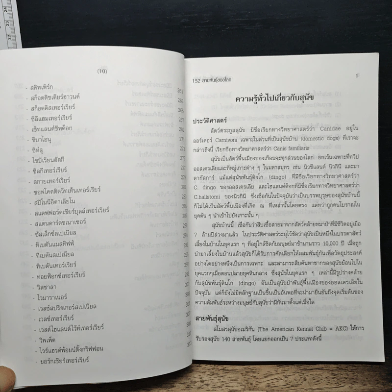 สุนัขสัตว์เลี้ยงที่น่ารัก - ท.ธีรานันท์ รูปที่ 10