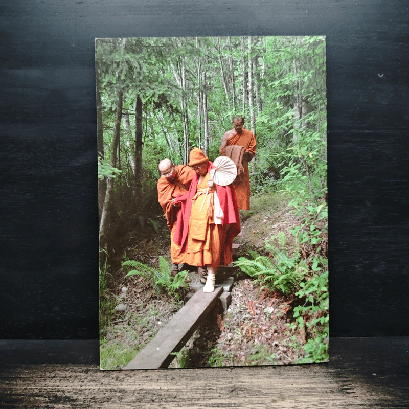 คู่มือการปฏิบัติ วิปัสสนากรรมฐานในแนวสติปัฏฐาน 4 รูปที่ 2